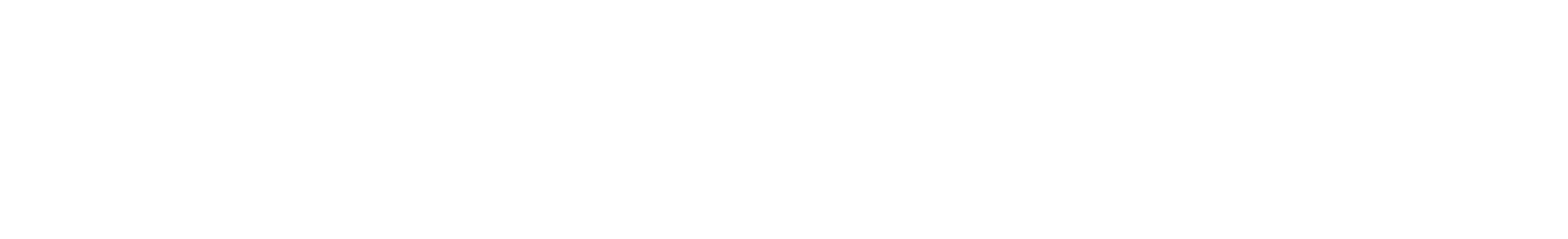 SAIVER Logo